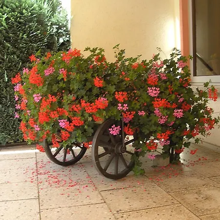 Quarto em Acomodações Particulares Haus Klosterblick *