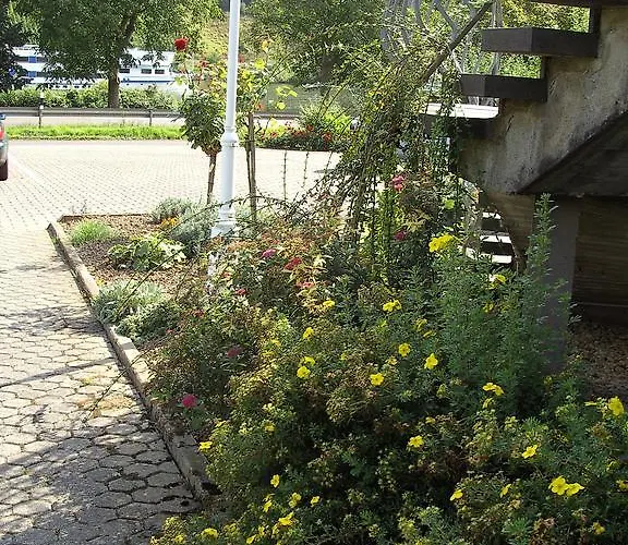 בית אירוח Haus Klosterblick *